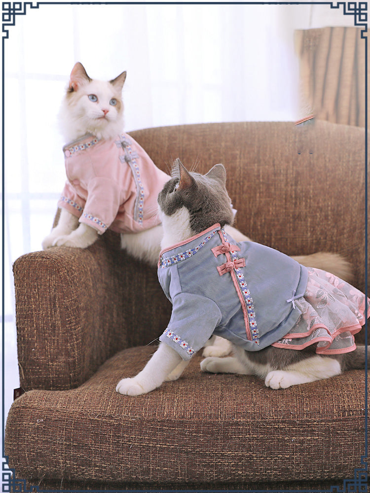 Fashionable and Comfortable Clothes Designed for Your Pet Cat
